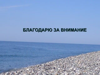 БЛАГОДАРЮ ЗА ВНИМАНИЕБЛАГОДАРЮ ЗА ВНИМАНИЕ
 