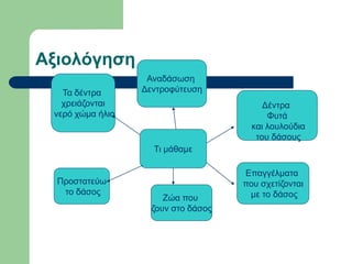 Αξιολόγηση
Τα δέντρα
χρειάζονται
νερό χώμα ήλιο
Προστατεύω
το δάσος
Επαγγέλματα
που σχετίζονται
με το δάσος
Δέντρα
Φυτά
και λουλούδια
του δάσους
Τι μάθαμε
Αναδάσωση
Δεντροφύτευση
Ζώα που
ζουν στο δάσος
 