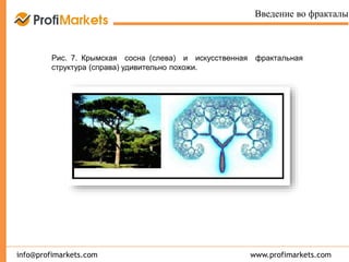 www.profimarkets.cominfo@profimarkets.com
Введение во фракталы
Рис. 7. Крымская сосна (слева) и искусственная фрактальная
структура (справа) удивительно похожи.
 