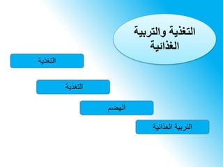 ‫التغذية‬
‫التغذية‬
‫الهضم‬
‫الغذائية‬ ‫التربية‬
‫والتربية‬ ‫التغذية‬
‫الغذائية‬
 