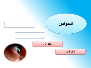 ‫الحواس‬
‫الحواس‬
‫الحواس‬
 