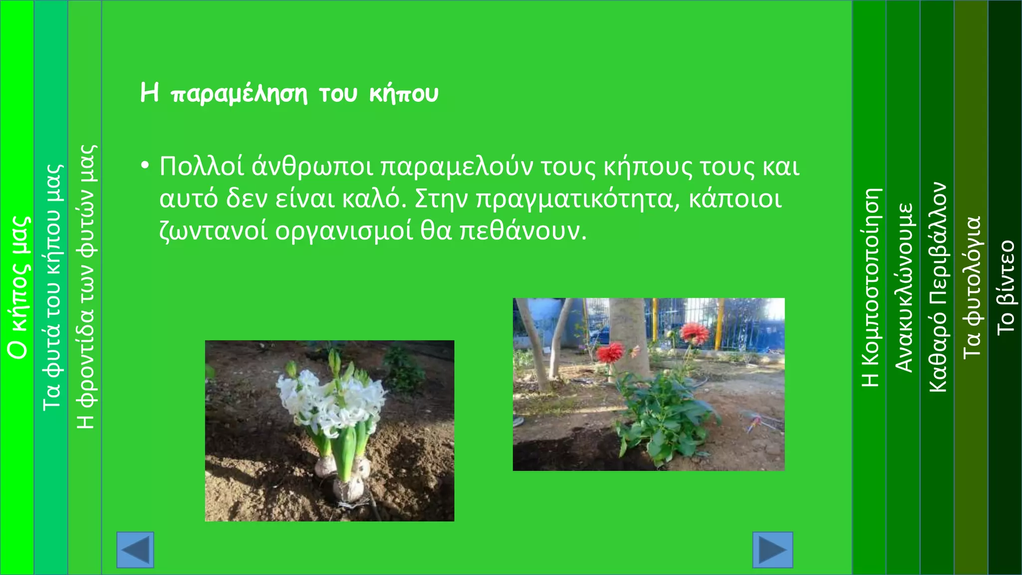 Ταφυτάτουκήπουμας
Οκήποςμας
ΗΚομποστοποίηση
Ανακυκλώνουμε
ΚαθαρόΠεριβάλλον
Ταφυτολόγια
Τοβίντεο
Ηφροντίδατωνφυτώνμας
• Πολλοί άνθρωποι παραμελούν τους κήπους τους και
αυτό δεν είναι καλό. Στην πραγματικότητα, κάποιοι
ζωντανοί οργανισμοί θα πεθάνουν.
Η παραμέληση του κήπου
 