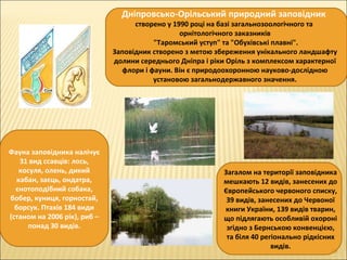 Дніпровсько-Орільський природний заповідник
створено у 1990 році на базі загальнозоологічного та
орнітологічного заказників
"Таромський уступ" та "Обухівські плавні".
Заповідник створено з метою збереження унікального ландшафту
долини середнього Дніпра і ріки Оріль з комплексом характерної
флори і фауни. Він є природоохоронною науково-дослідною
установою загальнодержавного значення.
Фауна заповідника налічує
31 вид ссавців: лось,
косуля, олень, дикий
кабан, заєць, ондатра,
єнотоподібний собака,
бобер, куниця, горностай,
борсук. Птахів 184 види
(станом на 2006 рік), риб –
понад 30 видів.
Загалом на території заповідника
мешкають 12 видів, занесених до
Європейського червоного списку,
39 видів, занесених до Червоної
книги України, 139 видів тварин,
що підлягають особливій охороні
згідно з Бернською конвенцією,
та біля 40 регіонально рідкісних
видів.
29
 