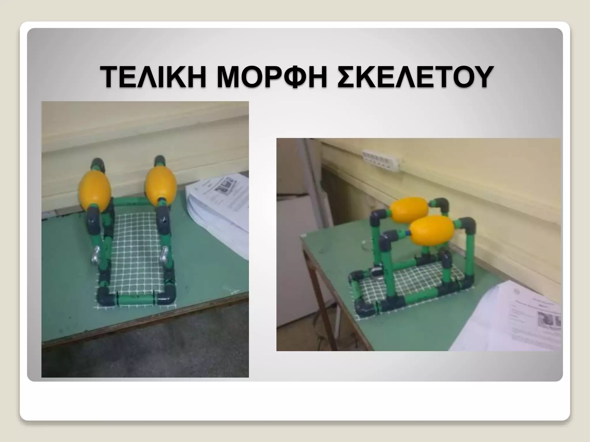 ΤΕΛΙΚΗ ΜΟΡΦΗ ΣΚΕΛΕΤΟΥ
 