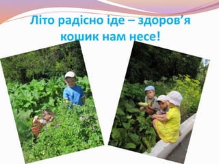 Літо радісно іде – здоров’я
кошик нам несе!
 