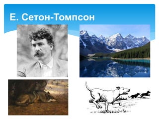 Е. Сетон-Томпсон
 