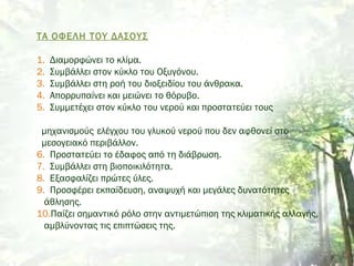 ΤΑ ΟΦΕΛΗ ΤΟΥ ΔΑΣΟΥΣ
1. Διαμορφώνει το κλίμα.
2. Συμβάλλει στον κύκλο του Οξυγόνου.
3. Συμβάλλει στη ροή του διοξειδίου του άνθρακα.
4. Απορρυπαίνει και μειώνει το θόρυβο.
5. Συμμετέχει στον κύκλο του νερού και προστατεύει τους
μηχανισμούς ελέγχου του γλυκού νερού που δεν αφθονεί στο
μεσογειακό περιβάλλον.
6. Προστατεύει το έδαφος από τη διάβρωση.
7. Συμβάλλει στη βιοποικιλότητα.
8. Εξασφαλίζει πρώτες ύλες.
9. Προσφέρει εκπαίδευση, αναψυχή και μεγάλες δυνατότητες
άθλησης.
10.Παίζει σημαντικό ρόλο στην αντιμετώπιση της κλιματικής αλλαγής,
αμβλύνοντας τις επιπτώσεις της.
 