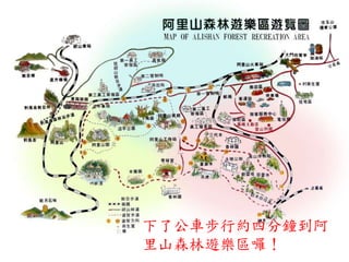下了公車步行約四分鐘到阿
里山森林遊樂區囉！
 