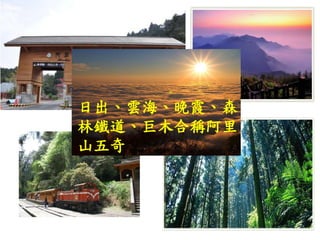 日出、雲海、晚霞、森
林鐵道、巨木合稱阿里
山五奇
 
