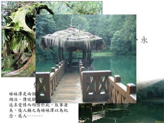 ←神木，永
結同心
姊妹潭→
姊妹潭是兩個大小不一的高山
湖泊，傳說鄒族兩位姊妹，因
追求愛情而殉情於此，故事淒
美，後人稱之為姊妹潭以為紀
念。感人~~~~~~~
 