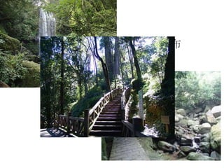 ←神怡瀑布
步道→
 