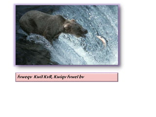 fvweqv KwiIKvR,KwiqvfvweIbv
 