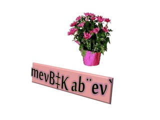 ৫। মার্চেন্ট অব ভেনিস