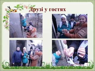 Друзі у гостях
 