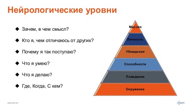 Уровни изменения личности. Нейрологические уровни. Примеры нейрологической памяти. Нейрологическая память примеры. Уровень почему о.