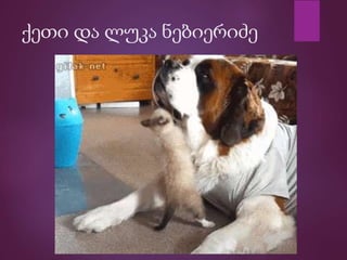 ქეთი და ლუკა ნებიერიძე
 