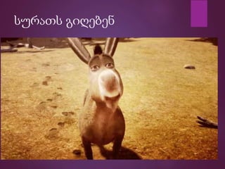 სურათს გიღებენ
 