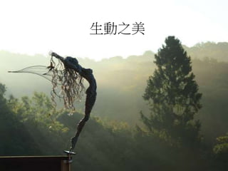 生動之美
 