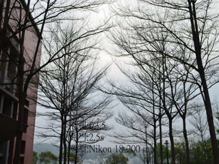光圈:f/3.5
快門:2.5s
鏡頭:Nikon 18-200 mm
 