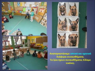 Αναπαραστήσαμε οπτικά και ηχητικά
διάφορα συναισθήματα.
Τα ζώα έχουν συναισθήματα; Είδαμε
εικόνες.
 