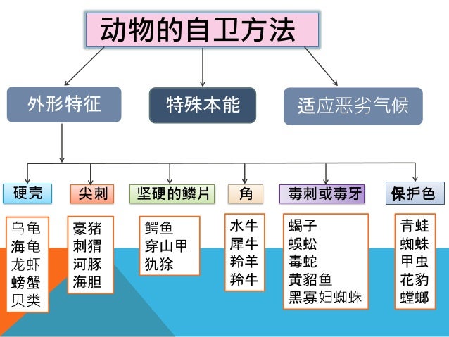 “动物的自卫法”的图片搜索结果