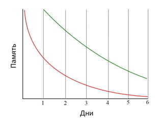 презентация англ.яз