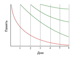 презентация англ.яз