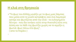 Η ελιά στη θρησκεία
•"Το φως του Αλλάχ μοιάζει με το φως μιας λάμπας
που μέσα από το γυαλί αστράφτει σαν ένα λαμπερό
αστέρι και φωτίζεται από την ελιά - το ευλογημένο
δέντρο - που δεν ανήκει ούτε στην Ανατολή ούτε στη
Δύση και το λάδι της φωτίζει χωρίς να το αγγίζει η
φωτιά: φως πάνω στο φως".
( απο το Κοράνι )
•
 