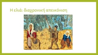 Η ελιά: διαχρονική απεικόνιση
 