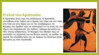 Η ελιά του Αρισταίου
Ο Αρισταίος ήταν γιος του Απόλλωνα. Ο Αρισταίος
γεννήθηκε στην Λιβύη και ο Ερμής τον πήρε και τον πήγε
στη Γαία και στις Ώρες για να τον αναθρέψουν. Οι
Νύμφες του έμαθαν πώς να καλλιεργεί τα τις ελιές και την
τέχνη της παρασκευής του λαδιού, πράγμα άγνωστο ως
τότε στους ανθρώπους. Οι Νύμφες του έδειξαν πώς να
μπολιάζει τις αγριελιές για να δίνουν καρπό, να αλέθει τον
καρπό του ελαιόδεντρου και να παίρνει το πολύτιμο αλλά
άγνωστο ως τότε ελαιόλαδο.
 