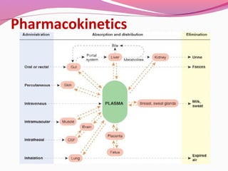 Pharmacokinetics
 