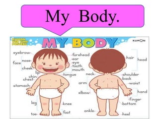 My Body.
 