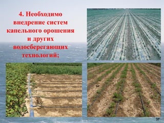 37
4. Необходимо
внедрение систем
капельного орошения
и других
водосберегающих
технологий;
 
