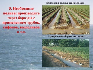 38
Технология полива через борозду
Армирование борозд щитками
5. Необходимо
поливы производить
через борозды с
применением трубок,
сифонов, водосливов
и т.п.
 