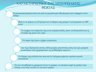 ΧΑΡΑΚΤΗΡΙΣΤΙΚΆ ΤΗΣ ΜΕΣΟΓΕΙΑΚΉΣ
ΦΏΚΙΑΣ
Η μεσογειακή φώκια είναι ένα από τα μεγαλύτερα είδη φωκιών που υπάρχουν στον
κόσμο
Φτάνει σε μήκος τα 2,8 μέτρα και το βάρος της μπορεί να ξεπεράσει τα 300
κιλά.
Το σχήμα του σώματός της είναι ατρακτοειδές, ώστε να διευκολύνεται η
κίνησή της μέσα στο νερό
Τα άκρα της έχουν σχήμα πτερυγίων
Δεν έχει εξωτερικά αυτιά, αλλά μικρές ακουστικές οπές και έχει μακριά
μουστάκια που χρησιμεύουν ως αισθητήρια όργανα
Το δέρμα της καλύπτεται από κοντό τρίχωμα μήκους περίπου μισού
εκατοστού
Τα πιο συνηθισμένα χρώματα είναι το μαύρο, το σκούρο καφέ ή γκρίζο στην
πλάτη, ενώ στην κοιλιά το ανοικτό γκρίζο
 