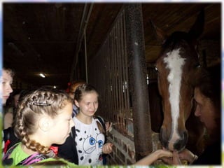 оздоровительный отдых в санатории кисловодска