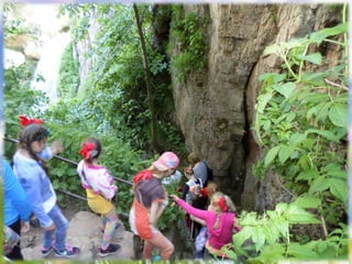 оздоровительный отдых в санатории кисловодска