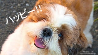 ϥåԩ`!!
дزĤѤ
https://www.pakutaso.com
 