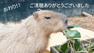 ꤬Ȥޤ
꣡
 