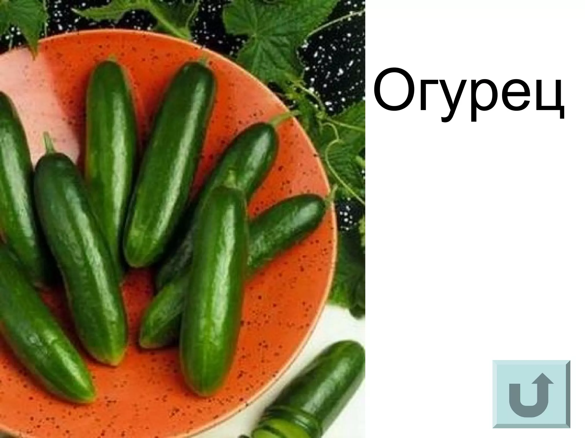 Огурец
 