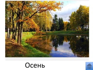 Осень
 