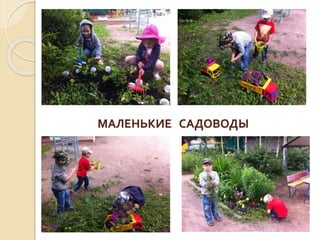 МАЛЕНЬКИЕ САДОВОДЫ