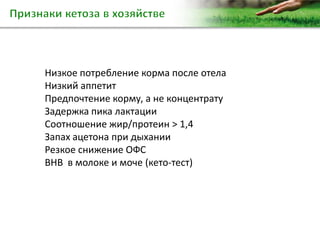 Низкое потребление корма после отела
Низкий аппетит
Предпочтение корму, а не концентрату
Задержка пика лактации
Соотношение жир/протеин > 1,4
Запах ацетона при дыхании
Резкое снижение ОФС
BHB в молоке и моче (кето-тест)
 