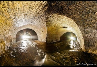 станислав горбовцов