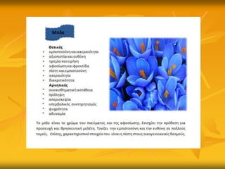 Ψυχοκινητικό ταξίδι χρωμάτων και συναισθημάτӬν