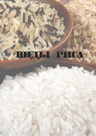 Виды риса | PDF