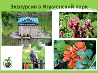 Экскурсия в Игуменский парк
 