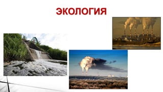 ЭКОЛОГИЯ
 
