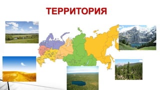 ТЕРРИТОРИЯ
 