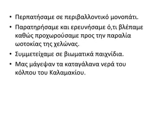 • Περπατήσαμε σε περιβαλλοντικό μονοπάτι.
• Παρατηρήσαμε και ερευνήσαμε ό,τι βλέπαμε
καθώς προχωρούσαμε προς την παραλία
ωοτοκίας της χελώνας.
• Συμμετείχαμε σε βιωματικά παιχνίδια.
• Μας μάγεψαν τα καταγάλανα νερά του
κόλπου του Καλαμακίου.
 